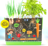 Kids Root Viewer showing the leafy parts of the plants above the soil with the roots visible inside the planter. the planter is adorned with stickers for personalizing it as well as measuring growth