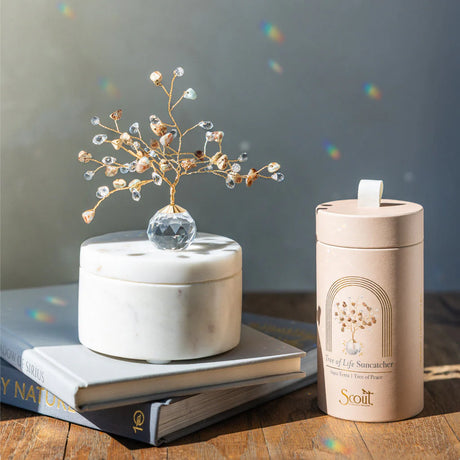 The Aqua Terra Tree of Life Suncatcher on a table in a sunny room alongside its decorative cylindrical box with multitudes of tiny rainbows cast on the wall