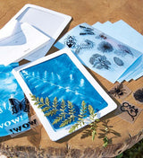 Almanac for Kids - Creative Kids Bundle