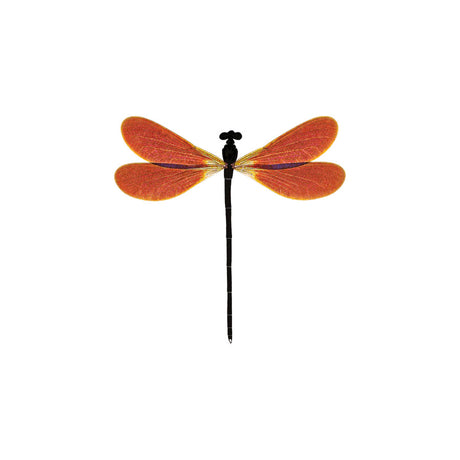a close up of the amber damselfly temporary tattoo art showing the delicate detail of the art