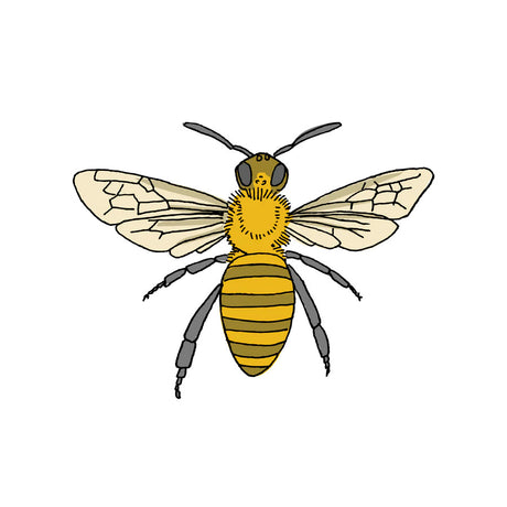 a close up of the honey bee temporary tattoo art showing the delicate detail of the art