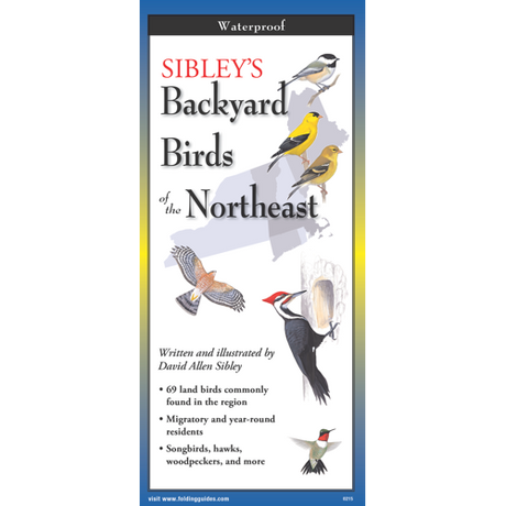 The cover image of Sibley’s Backyard Birds of the Northeast folding guide featuring a selection of illustrations of birds against a map of the Northeastern US region.