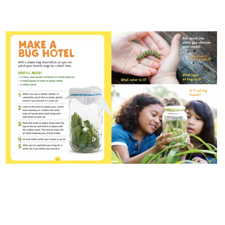 interior page of the bug hunt book about making a bug hotel