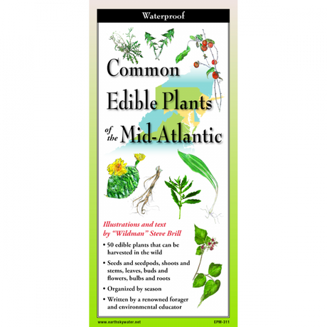 The cover image of edible plants of the northeast folding guide featuring a selection of illustrations of edible plants against a map of the Mid-Atlantic US states