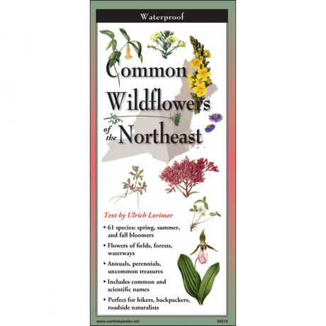 The cover image of Common Wildflowers of the Northeast folding guide featuring a selection of illustrations of wildflowers against a map of the Northeastern US states