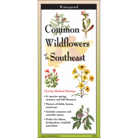 The cover image of Common Wildflowers of the Southeast folding guide featuring a selection of illustrations of wildflowers against a map of the Southeastern US states