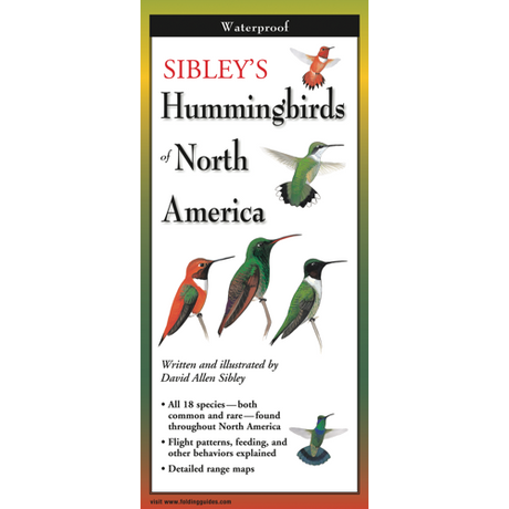 The cover image of Sibley’s Hummingbirds of North America folding guide featuring a selection of illustrations of hummingbirds against a white background