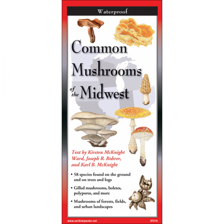 The cover image of Common Mushrooms of the Midwest folding guide featuring a selection of illustrations of mushrooms against a map of the California region.