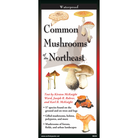 The cover image of Common Mushrooms of the Northeast folding guide featuring a selection of illustrations of mushrooms against a map of the Northeastern US states