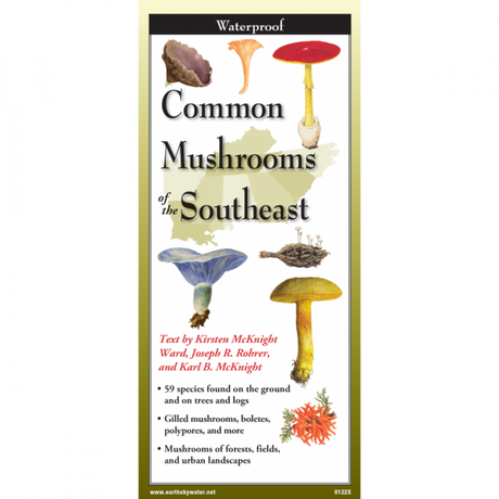 The cover image of Common Mushrooms of the Southeast folding guide featuring a selection of illustrations of mushrooms against a map of the Southeastern  US states