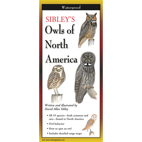 The cover image of Sibley’s Owls of North America folding guide featuring a selection of illustrations of owls against a white background