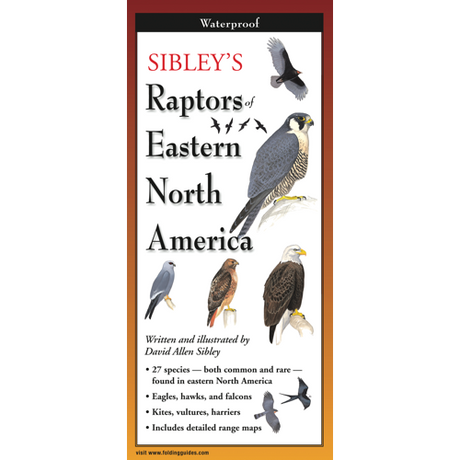 The cover image of Sibley’s Raptors of Eastern North America folding guide featuring a selection of illustrations of birds of prey against a white background
