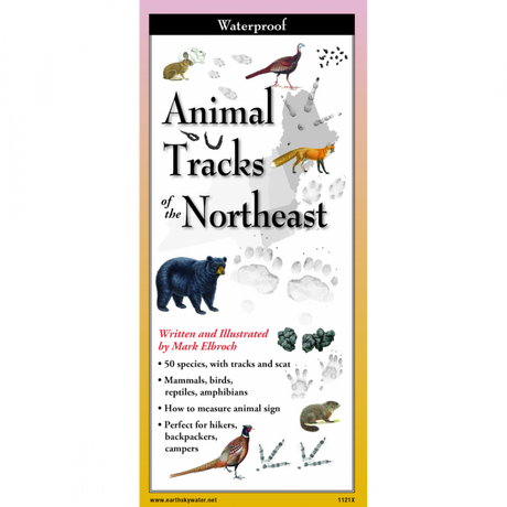 Cover of the folding guide titled 'Animal Tracks of the Northeast,' featuring illustrations of various animal tracks on a tan background with paw prints and guide title