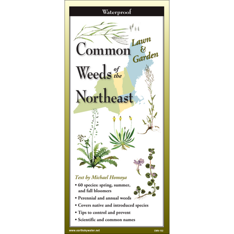 The cover image of Common Weeds of the Northeast folding guide featuring a selection of illustrations of weeds against a map of the Northeastern US states